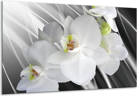 Glasschilderij Orchidee | Wit, Grijs, Groen | | Foto print op Glas |  F004709