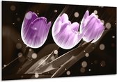 Peinture sur verre tulipe | Violet, gris | 120x70cm 1Hatch | Tirage photo sur verre |  F005103