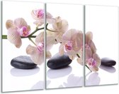Glasschilderij Orchidee - Wit, Zwart, Roze - 120x80cm 3Luik - Foto Op Glas - Geen Acrylglas Schilderij - GroepArt 6000+ Glas Art Collectie - Maatwerk Mogelijk