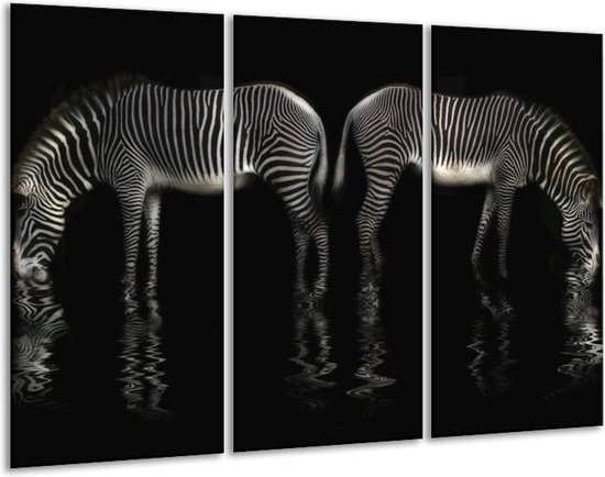 Peinture sur verre Zebra | Noir et blanc | 120x80cm 3 Liège | Tirage photo  sur verre |... | bol.com