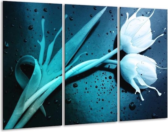 Peinture sur verre tulipe | Bleu blanc | 120x80cm 3 Liège | Tirage photo sur verre |  F004186