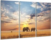 Peinture sur toile éléphant | Gris, jaune, bleu | 120x80cm 3 Liège