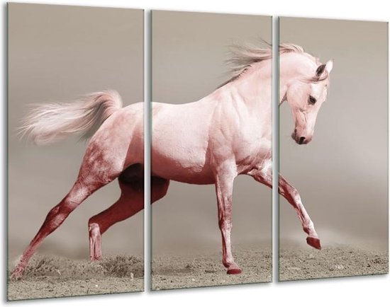 GroepArt - Schilderij -  Paard - Roze, Grijs - 120x80cm 3Luik - 6000+ Schilderijen 0p Canvas Art Collectie