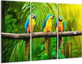 GroepArt - Schilderij -  Vogels - Groen, Oranje, Blauw - 120x80cm 3Luik - 6000+ Schilderijen 0p Canvas Art Collectie
