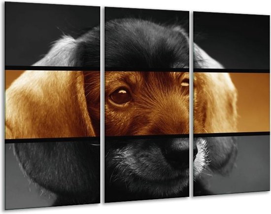 GroepArt - Schilderij -  Hond - Sepia, Bruin - 120x80cm 3Luik - 6000+ Schilderijen 0p Canvas Art Collectie