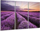 GroepArt - Schilderij -  Lavendel - Paars - 120x80cm 3Luik - 6000+ Schilderijen 0p Canvas Art Collectie