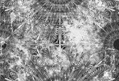 Fotobehang - Vlies Behang - Lace pattern - zwart-wti - 312 x 219 cm