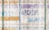 Fotobehang - Vlies Behang - Houten Muur - Orchidee - 254 x 184 cm