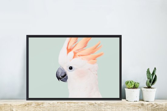 Cadre photo avec poster - Cacatoès - Animaux - Nature - Wit - 60x40 cm - Cadre poster