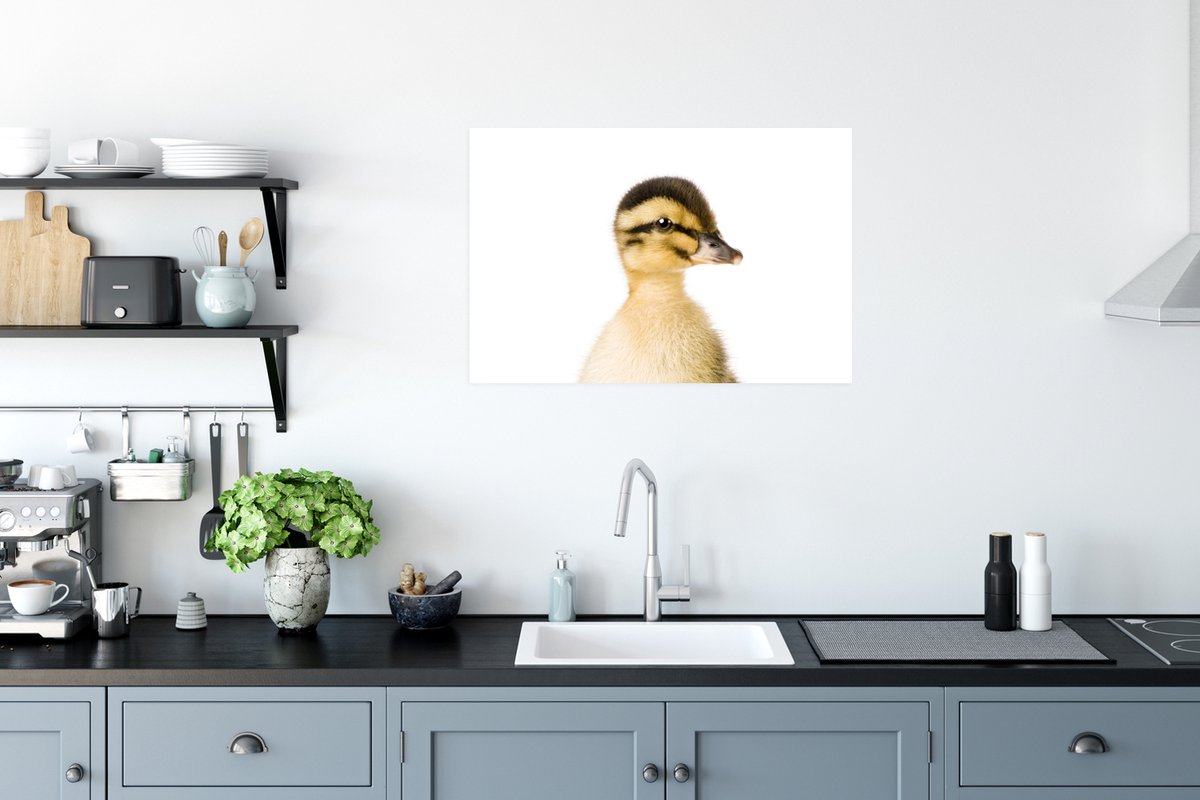Poster Eend - Geel - Dieren - Natuur - 60x40 cm