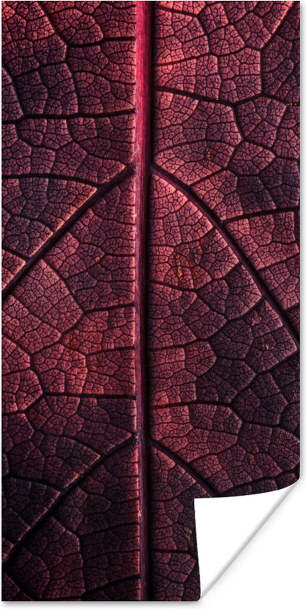 Poster Abstract - Rood - Bladeren - Plant - 20x40 cm