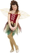 Elfen Feeen & Fantasy Kostuum | Fantasie Fee Kind Forrest Ferry Kostuum Meisje | Maat 158 | Carnaval kostuum | Verkleedkleding