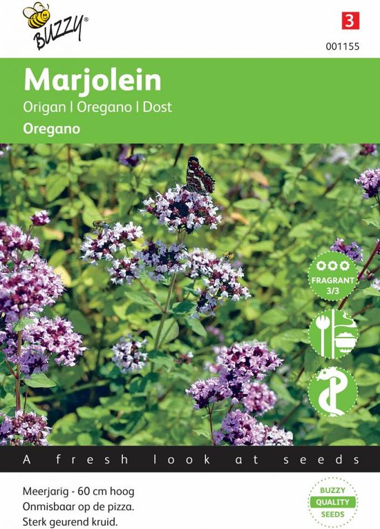 Buzzy Zaden Marjolein of Oregano - Origanum vulgare