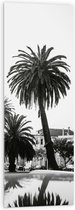 WallClassics - Acrylglas - Palmbomen in Amerikaanse Buurt (Zwart- wit) - 40x120 cm Foto op Acrylglas (Met Ophangsysteem)