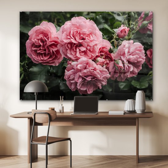 MuchoWow® Peinture sur Verre - Rose - Fleurs - Roses - 150x100 cm - Peintures sur Verre Peintures - Photo sur Glas