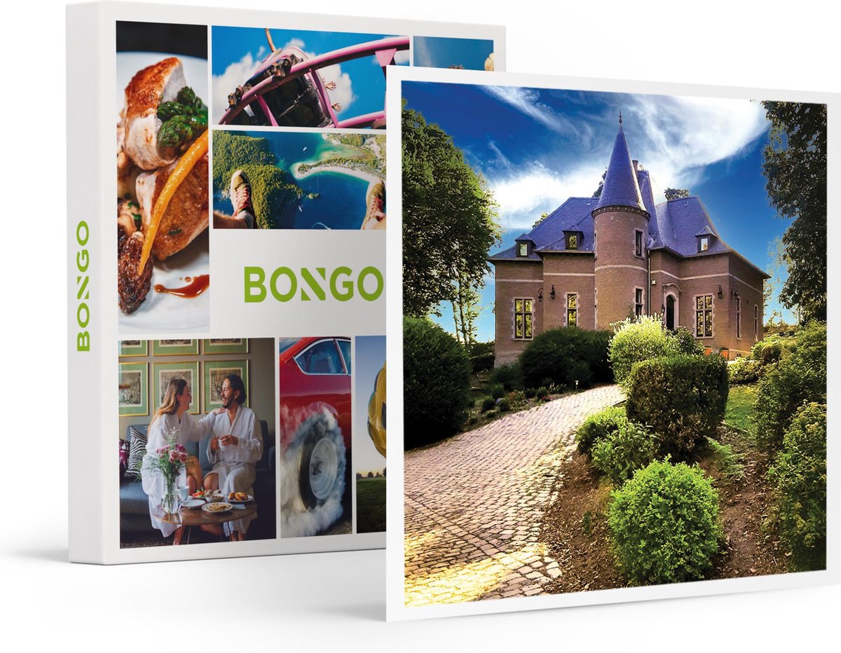 Bongo Bon - 2-daagse In Het Romantische Château Des Églantines Nabij Charleroi - Cadeaukaart
