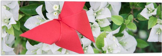Acrylglas - Rode Origami Vlinder op Witte Bloeiende Bloemen - 120x40 cm Foto op Acrylglas (Met Ophangsysteem)