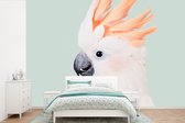 Kaketoe - Dieren - Natuur - Wit - Behangpapier