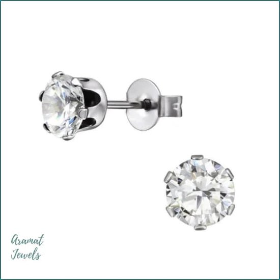 Aramat jewels ® - Oorbellen zirkonia zweerknopjes rond 5mm transparant chirurgisch staal