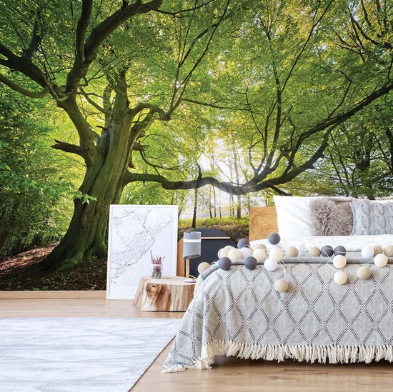 Papier peint Arbre vert dans la forêt | VEXXL - 312 cm x 219 cm | Polaire 130gr / m2