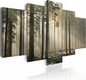 Schilderij - Licht in het Donker - Bos, 5luik , premium print op canvas