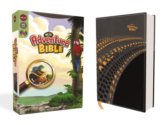 Adventure Bible- NKJV, Adventure Bible, Leathersoft, Gray, F ... - cover