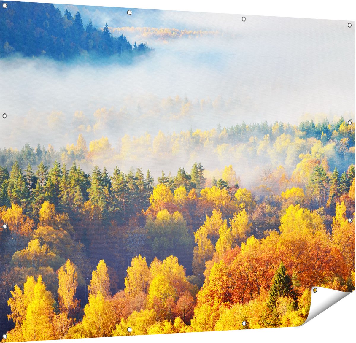 Gards Tuinposter Gekleurde Herfstbos met Mist - 150x120 cm - Tuindoek - Tuindecoratie - Wanddecoratie buiten - Tuinschilderij Multikleur