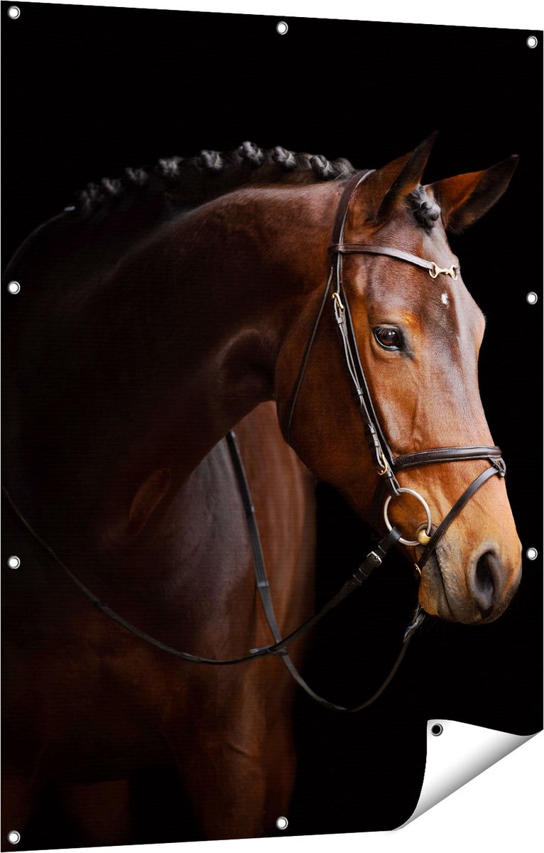 Gards Tuinposter Bruin Paard op een Zwart Achtergrond - 90x120 cm - Tuindoek - Tuindecoratie - Wanddecoratie buiten - Tuinschilderij Multikleur