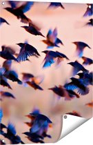 Gards Tuinposter Groep Vliegende Blauwe Spreeuw Vogels - 60x80 cm - Tuindoek - Tuindecoratie - Wanddecoratie buiten - Tuinschilderij