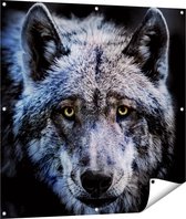 Gards Tuinposter Grijze Wolvenkop - Wolf - 100x100 cm - Tuindoek - Tuindecoratie - Wanddecoratie buiten - Tuinschilderij