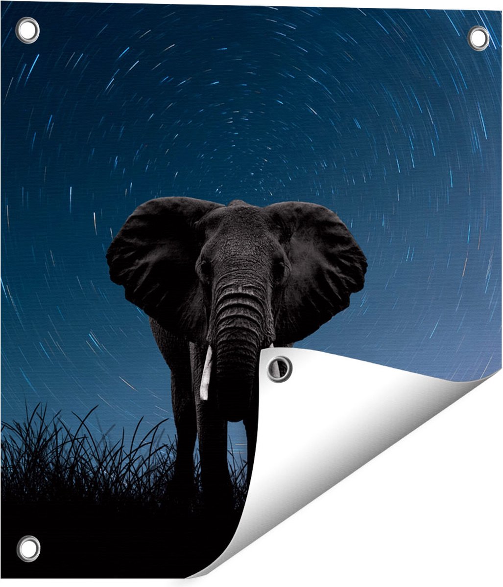 Gards Tuinposter Olifant Omringd met Sterren - 40x40 cm - Tuindoek - Tuindecoratie - Wanddecoratie buiten - Tuinschilderij Multikleur