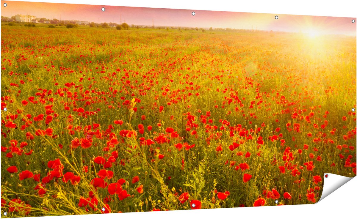 Gards Tuinposter Rode Klaproos Bloemenveld - Zonsondergang - 200x100 cm - Tuindoek - Tuindecoratie - Wanddecoratie buiten - Tuinschilderij Multikleur