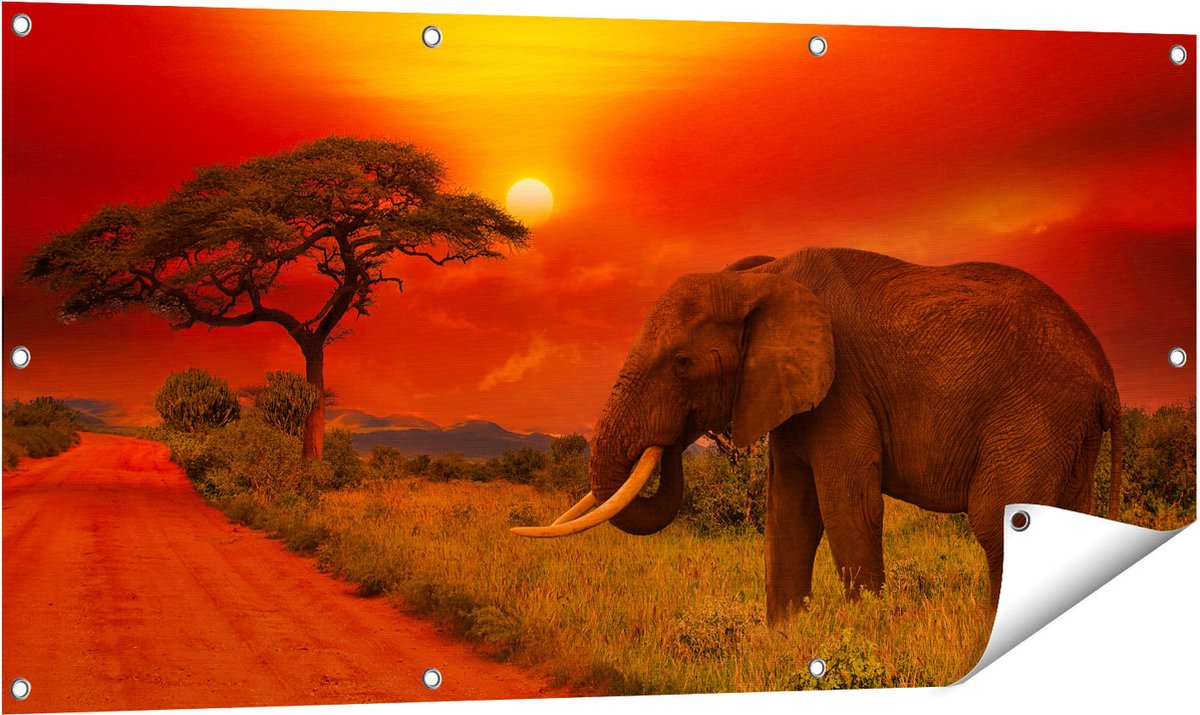 Gards Tuinposter Olifant in het Wild tijdens Zonsondergang - 120x60 cm - Tuindoek - Tuindecoratie - Wanddecoratie buiten - Tuinschilderij Multikleur