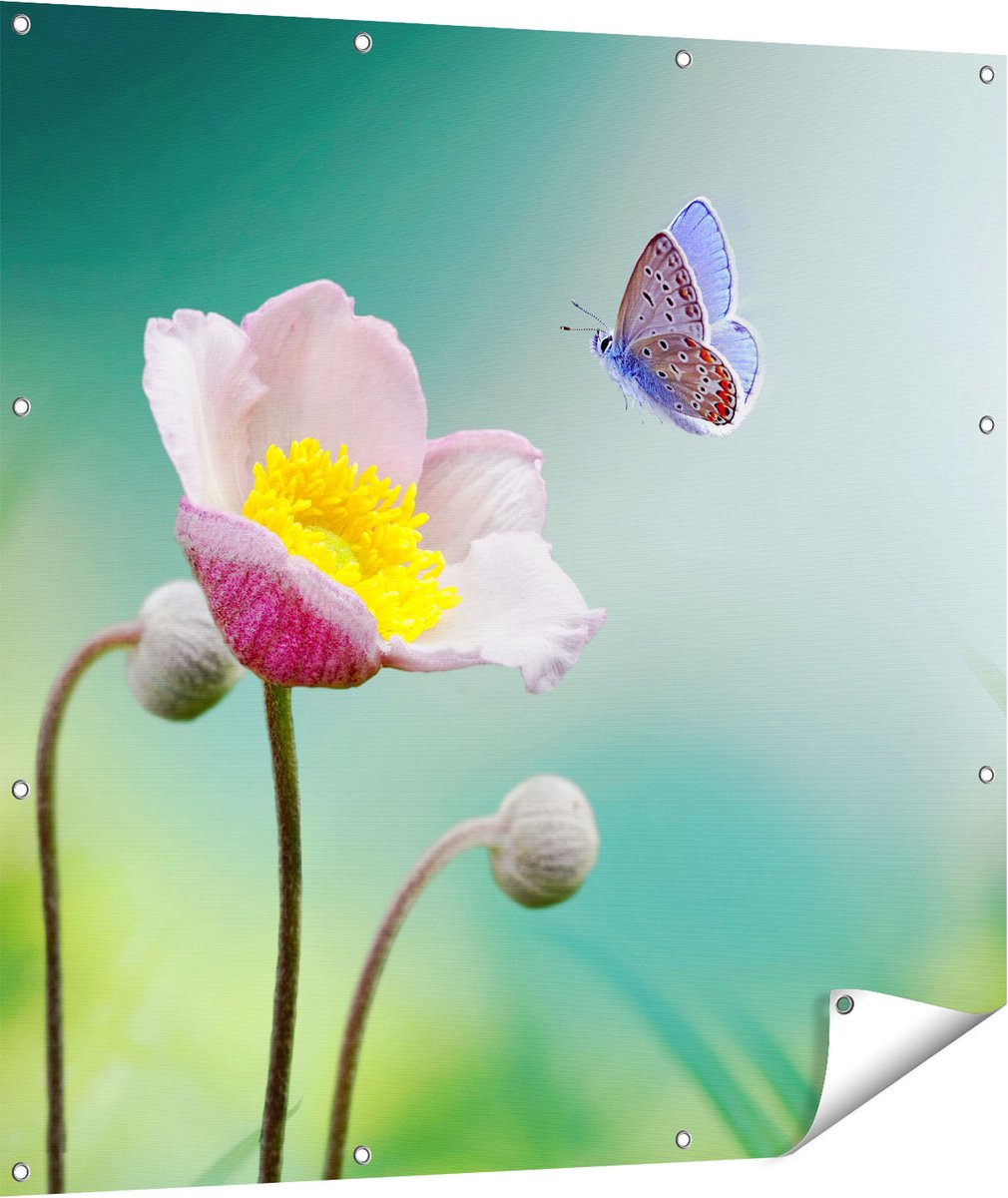 Gards Tuinposter Roze Anemoon Bloem met een Blauwe Vlinder - 110x110 cm - Tuindoek - Tuindecoratie - Wanddecoratie buiten - Tuinschilderij Multikleur