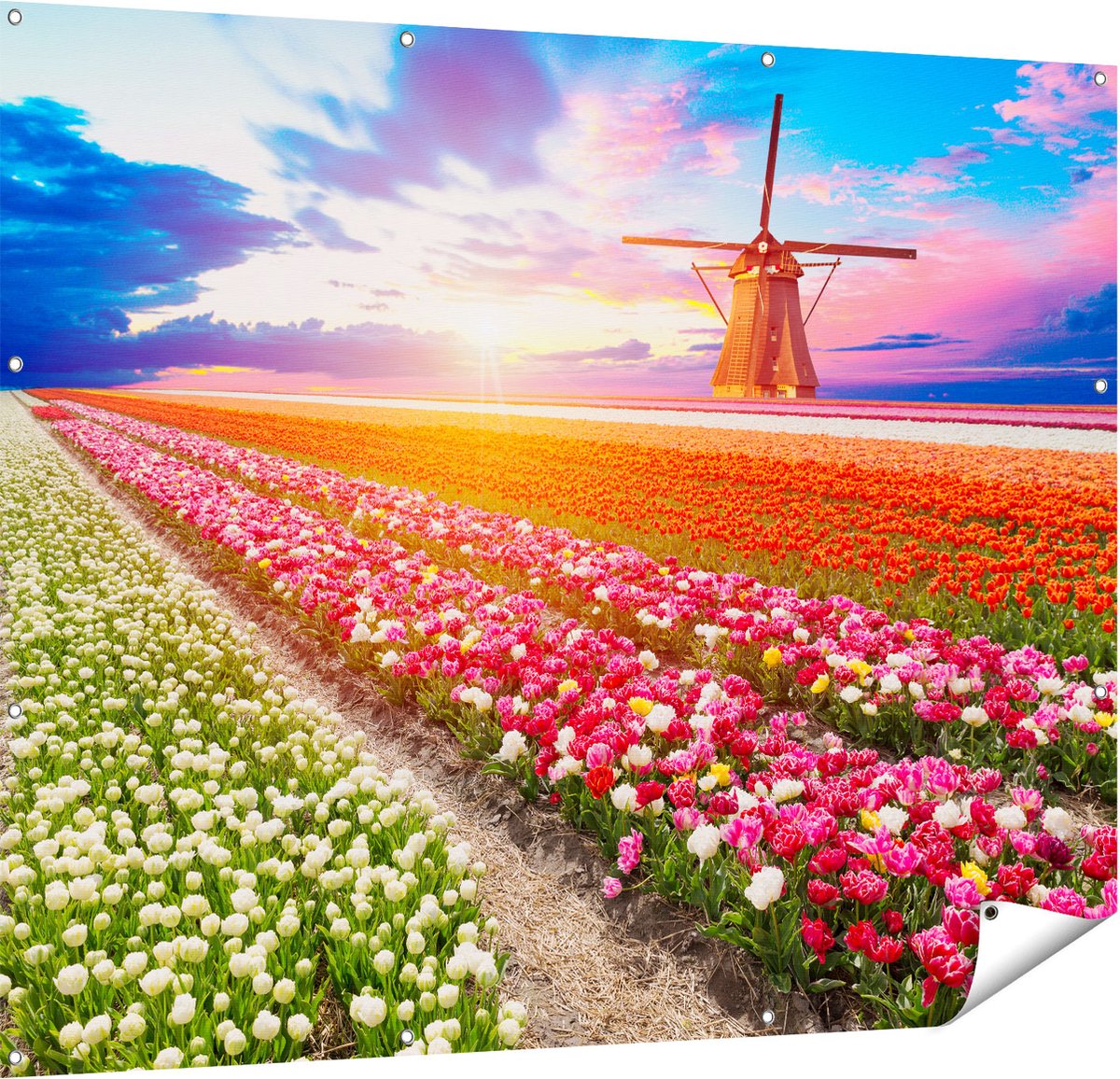 Gards Tuinposter Kleurrijke Bloemenveld met een Windmolen - 150x120 cm - Tuindoek - Tuindecoratie - Wanddecoratie buiten - Tuinschilderij Multikleur