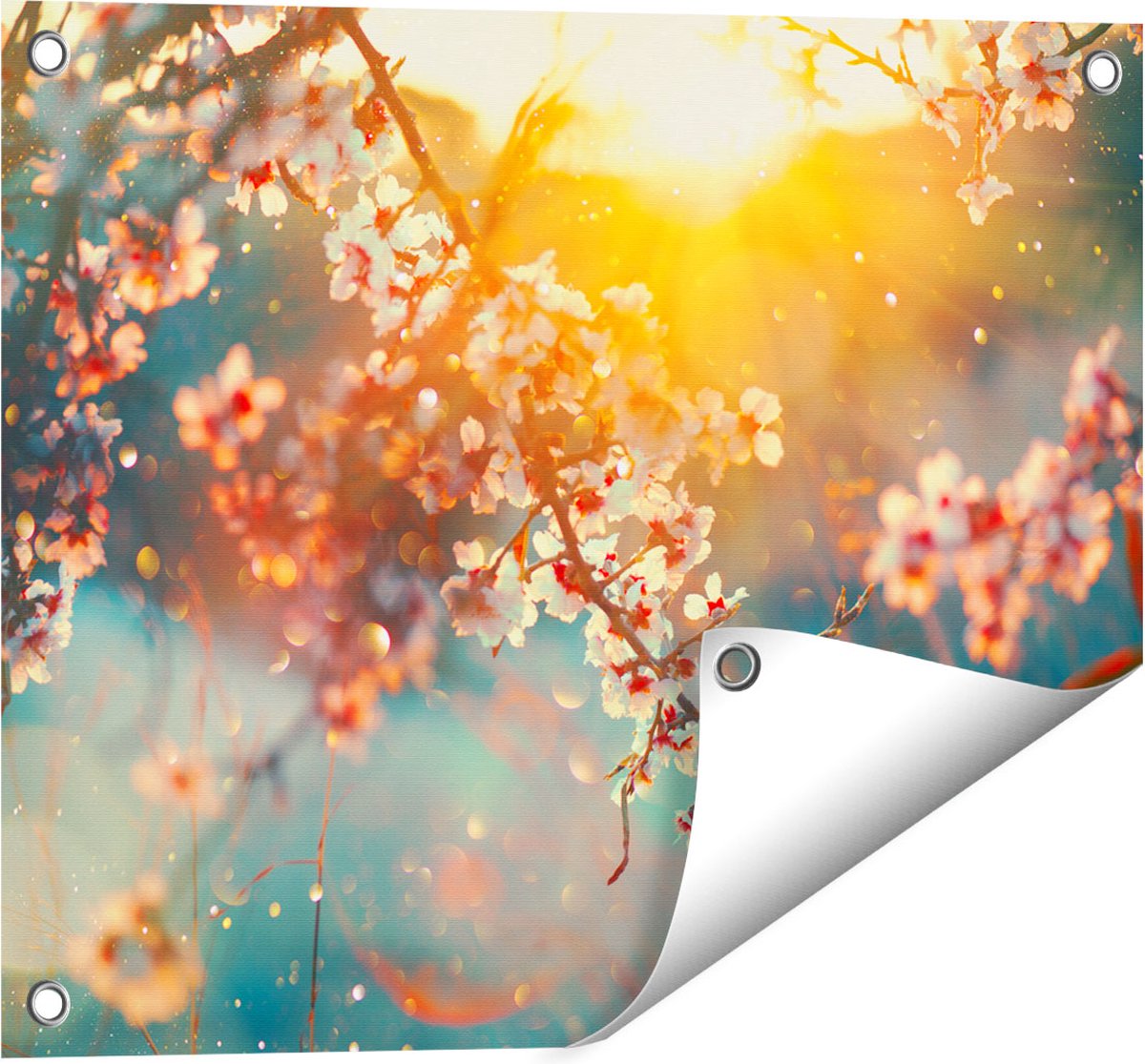 Gards Tuinposter Bloesemboom tijdens Zonsondergang - Bloem - 50x40 cm - Tuindoek - Tuindecoratie - Wanddecoratie buiten - Tuinschilderij Multikleur