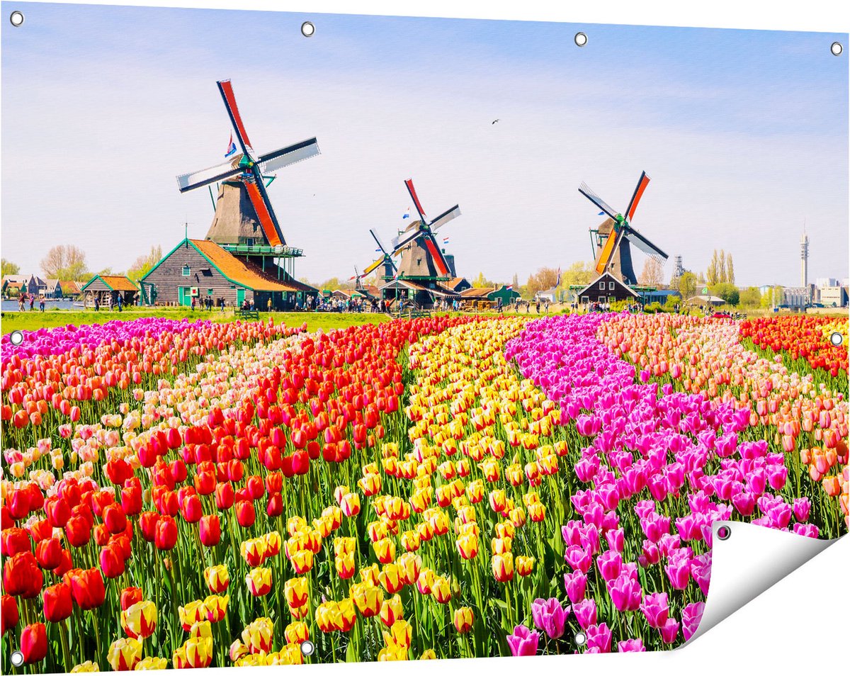 Gards Tuinposter Kleurrijke Tulpen Bloemenveld - Windmolen - 120x80 cm - Tuindoek - Tuindecoratie - Wanddecoratie buiten - Tuinschilderij Multikleur