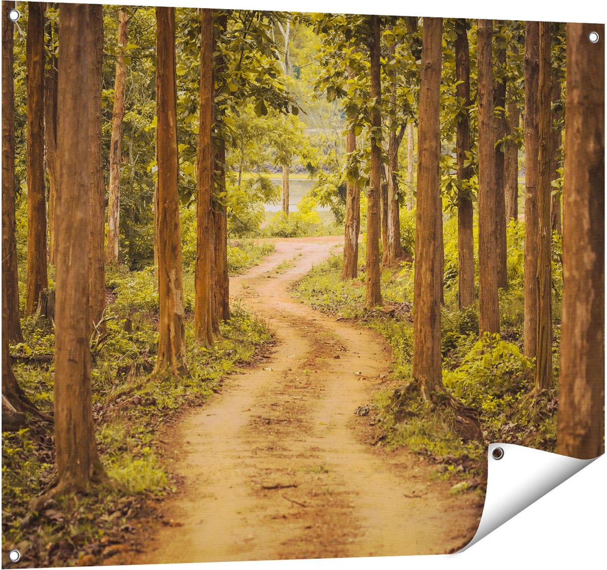 Gards Tuinposter Pad in het Bos met Bomen - 100x80 cm - Tuindoek - Tuindecoratie - Wanddecoratie buiten - Tuinschilderij Multikleur