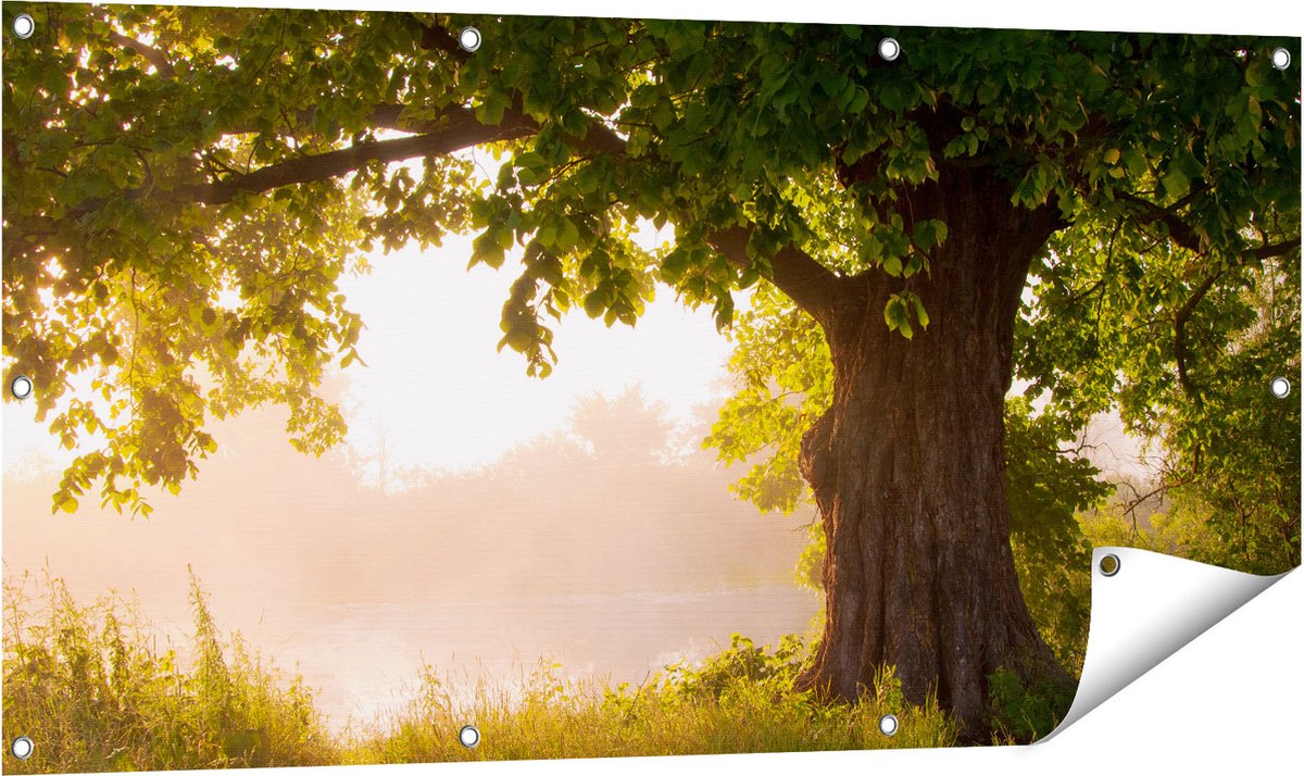 Gards Tuinposter Eikenboom aan het Water met Volle Bladeren - 120x60 cm - Tuindoek - Tuindecoratie - Wanddecoratie buiten - Tuinschilderij Multikleur
