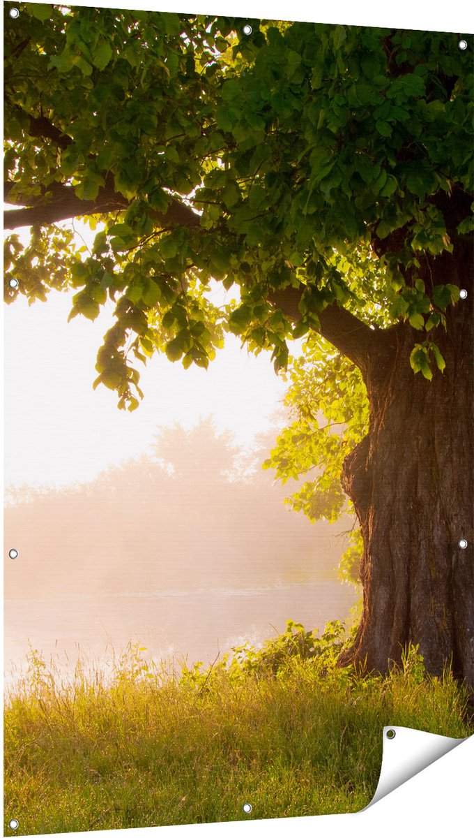 Gards Tuinposter Eikenboom aan het Water met Volle Bladeren - 100x150 cm - Tuindoek - Tuindecoratie - Wanddecoratie buiten - Tuinschilderij Multikleur