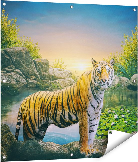 Gards Tuinposter Luipaard in een Vijver bij Zonsondergang - 90x90 cm - Tuindoek - Tuindecoratie - Wanddecoratie buiten - Tuinschilderij