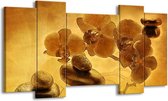 GroepArt - Schilderij - Orchidee - Bruin - 120x65 5Luik - Foto Op Canvas - GroepArt 6000+ Schilderijen 0p Canvas Art Collectie - Wanddecoratie