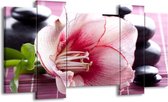 GroepArt - Schilderij - Bloem - Wit, Roze, Groen - 120x65 5Luik - Foto Op Canvas - GroepArt 6000+ Schilderijen 0p Canvas Art Collectie - Wanddecoratie