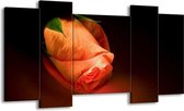 GroepArt - Schilderij - Roos - Oranje, Zwart, Groen - 120x65 5Luik - Foto Op Canvas - GroepArt 6000+ Schilderijen 0p Canvas Art Collectie - Wanddecoratie