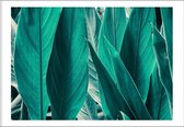 Bird Of Paradise Leaves (50x70cm) - Wallified - Tropisch - Poster - Print - Wall-Art - Woondecoratie - Kunst - Posters