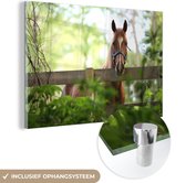 MuchoWow® Glasschilderij 60x40 cm - Schilderij acrylglas - Paard - Natuur - Hek - Foto op glas - Schilderijen