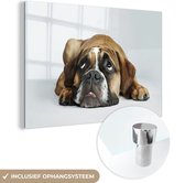 MuchoWow® Glasschilderij 120x80 cm - Schilderij acrylglas - Hond - Huisdieren - Wit - Foto op glas - Schilderijen