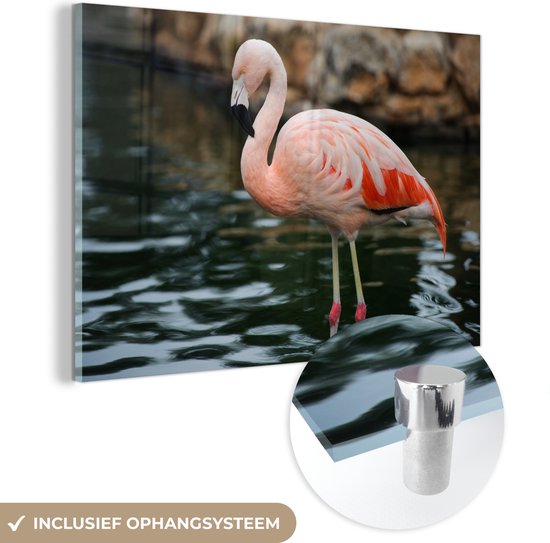 MuchoWow® Glasschilderij 30x20 cm - Schilderij acrylglas - Een flamingo staat in het water voor de rotsen - Foto op glas - Schilderijen
