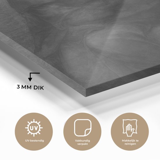 MuchoWow® Peinture sur verre 50x50 cm - Peinture sur verre acrylique - Marie avec l'enfant et Sainte Anne - Leonardo de Vinci - Photo sur verre - Peintures