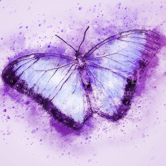 Diamond Painting Volwassenen vlinder schilderij diamant Diamond Painting Volwassenen vlinder schilderij diamant